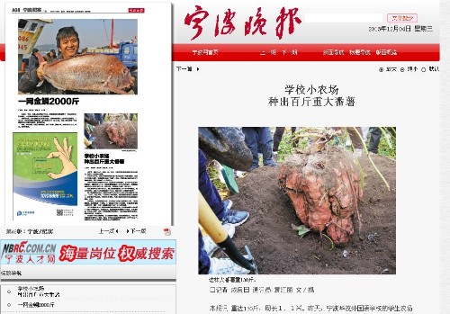 博亚体育官方app