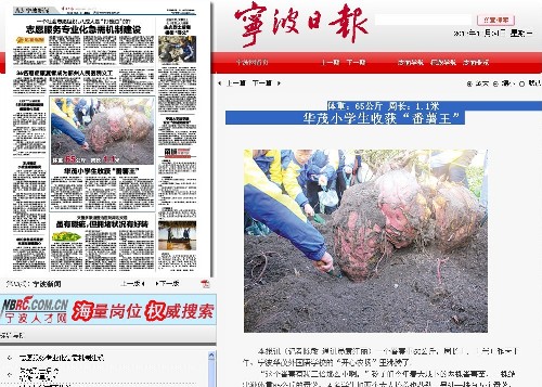 博亚体育官方app